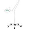 Lupa led samostojeća lampa 5×zoom 22W